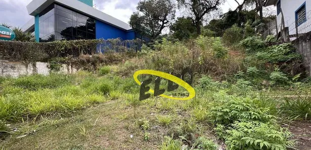 Terreno / Lote / Condomínio para venda ou aluguel, 1320m² no Parque São George, Cotia