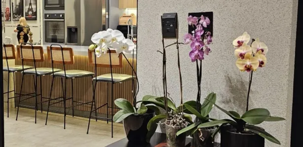 Casa de Condomínio com 3 Quartos à venda, 195m² no Jardins Nápoles, Senador Canedo
