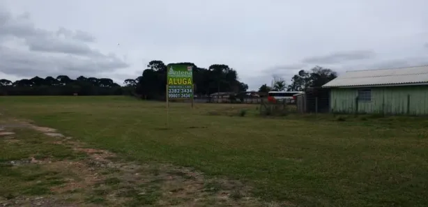 Terreno / Lote / Condomínio para alugar, 5000m² no Ipê, São José dos Pinhais