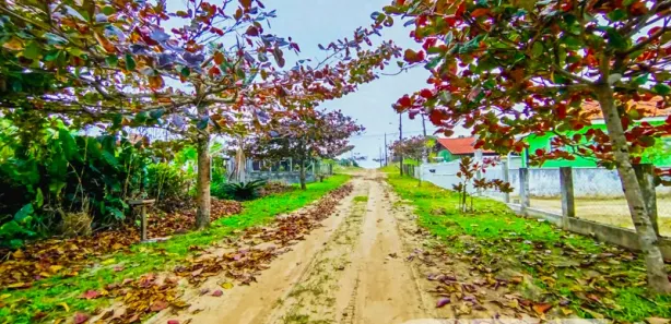 Terreno / Lote / Condomínio à venda, 300m² no Praia do Ervino, 