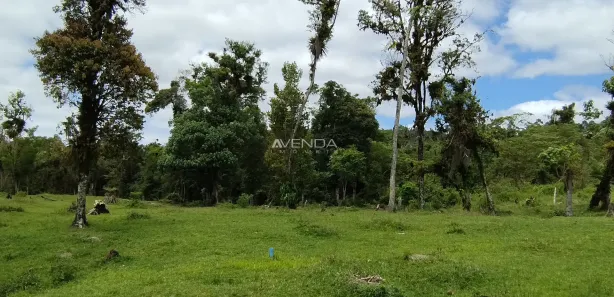 Fazenda / Sítio / Chácara com 6 Quartos à venda, 208036m² no , Campina Grande do Sul