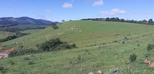 Fazenda / Sítio / Chácara à venda, 9196000m² no Foch I, Pouso Alegre