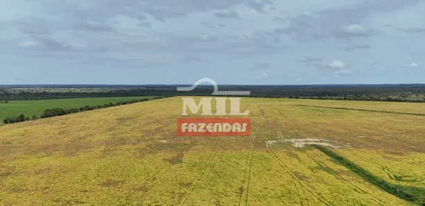 Fazenda / Sítio / Chácara à venda, 500m² no , Pium