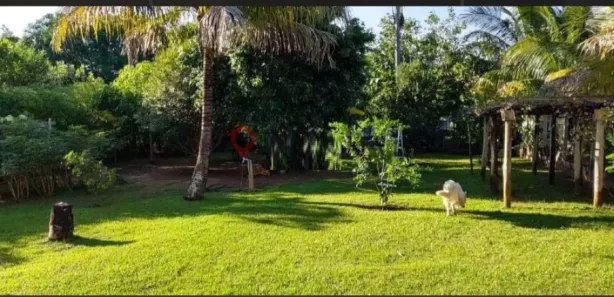 Fazenda / Sítio / Chácara com 3 Quartos para alugar, 300m² no Sítios de Recreio Letícia (Padre Nóbrega), Marília