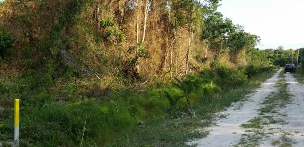 Terreno / Lote / Condomínio à venda, 5000m² no Praia do Ervino, São Francisco do Sul