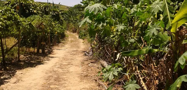 Fazenda / Sítio / Chácara com 2 Quartos à venda, 96m² no Sampaio Correia (Sampaio Correia), Saquarema