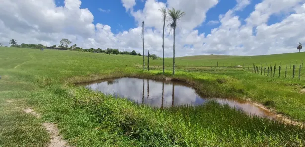 Fazenda / Sítio / Chácara à venda, 304920m² no Centro, Mata de São João