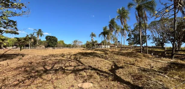 Fazenda / Sítio / Chácara com 5 Quartos à venda, 10000m² no Núcleo Residencial Brasília, Novo Gama