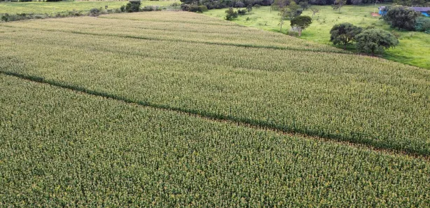 Fazenda / Sítio / Chácara à venda, 1700000m² no Arapoanga, Brasília