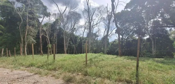 Terreno / Lote / Condomínio à venda, 1575m² no Capuava, Embu das Artes