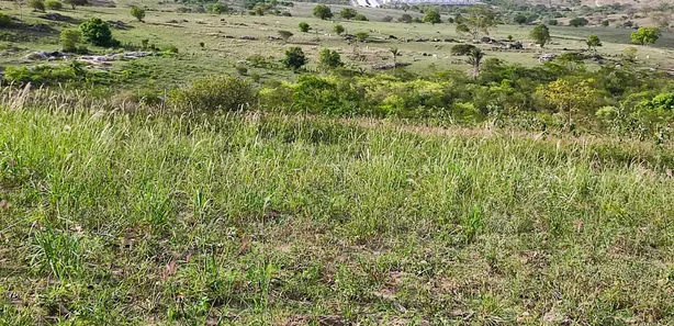 Fazenda / Sítio / Chácara com 3 Quartos à venda, 90000m² no Alpes Suiços, Gravatá