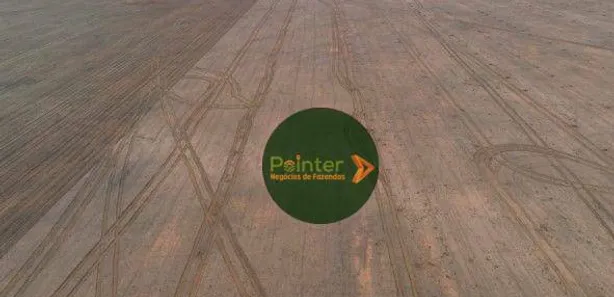 Fazenda / Sítio / Chácara à venda, 100000m² no , Pedro Afonso