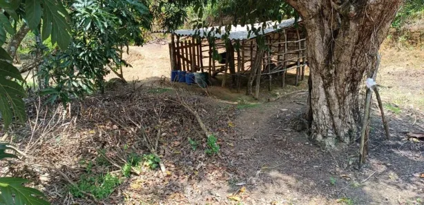 Fazenda / Sítio / Chácara com 2 Quartos à venda, 200000m² no Nossa Senhora do O, Ipojuca
