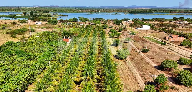 Fazenda / Sítio / Chácara à venda, 84000m² no Pedrinhas, Petrolina