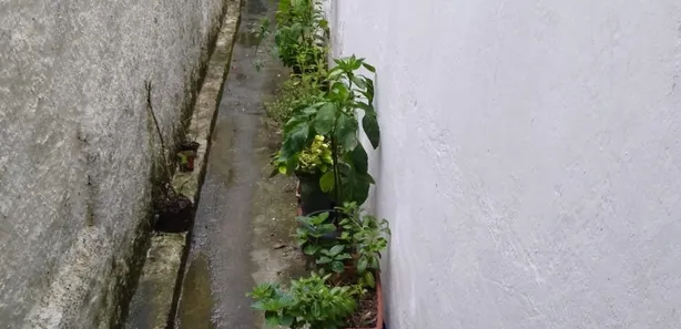 Casa com 3 Quartos à venda, 200m² no Curado, Jaboatão dos Guararapes