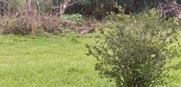 Fazenda / Sítio / Chácara com 7 Quartos à venda, 20000m² no Núcleo Rural Lago Oeste, Brasília