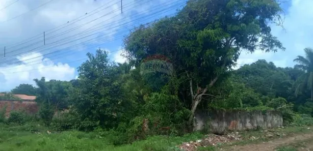 Terreno / Lote / Condomínio à venda, 660m² no Loteamento Ponta Ville, Itaparica