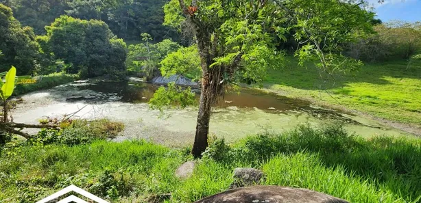 Fazenda / Sítio / Chácara à venda, 320000m² no Dois Leões, Pombos