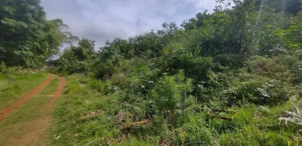 Terreno / Lote / Condomínio à venda, 2950m² no Condomínio Horizontal Marajoara, Ibiporã