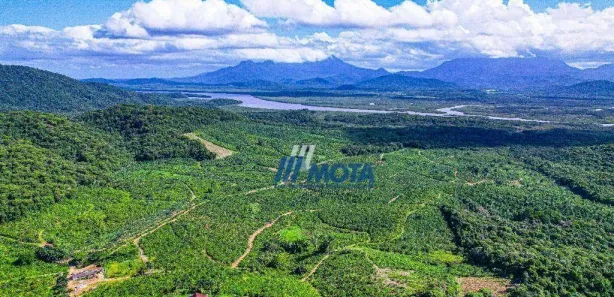Fazenda / Sítio / Chácara com 3 Quartos à venda, 600m² no Antonina, Antonina