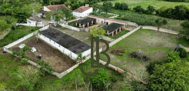 Fazenda / Sítio / Chácara com 4 Quartos à venda, 180m² no , Areial