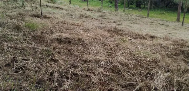 Terreno / Lote / Condomínio à venda, 4250m² no , Campina Grande do Sul