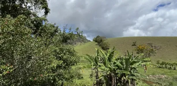 Fazenda / Sítio / Chácara à venda, 31000m² no , Joaquim Gomes
