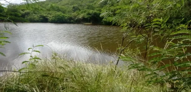 Fazenda / Sítio / Chácara com 4 Quartos à venda, 140000m² no , Pombos