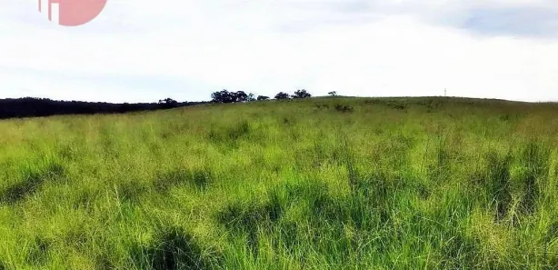 Fazenda / Sítio / Chácara com 2 Quartos à venda, 15800000m² no Setor Central, Pedro Afonso