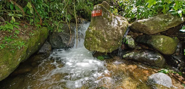 Fazenda / Sítio / Chácara com 3 Quartos à venda, 80000m² no Visconde de Mauá, Resende