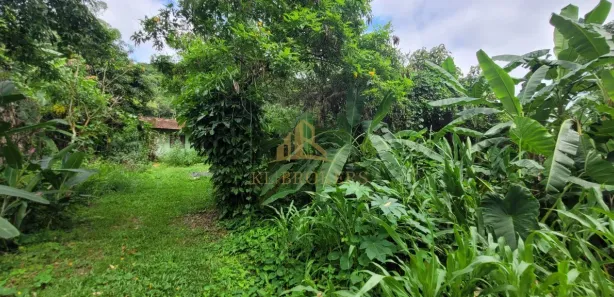 Fazenda / Sítio / Chácara com 4 Quartos à venda, 2100m² no Califórnia da Barra, Barra do Piraí
