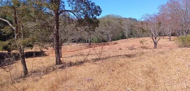 Fazenda / Sítio / Chácara com 2 Quartos à venda, 2081200m² no Núcleo Rural Lago Oeste, Brasília