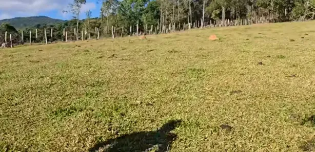 Terreno / Lote / Condomínio à venda, 10000m² no Centro, Pouso Alegre