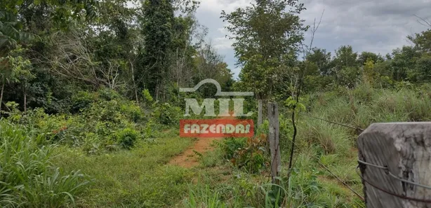 Fazenda / Sítio / Chácara à venda, 500m² no , Pium