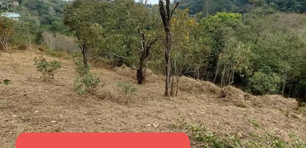 Terreno / Lote / Condomínio à venda, 1000m² no Roseira, Mairiporã