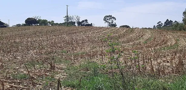 Fazenda / Sítio / Chácara com 3 Quartos à venda, 150m² no , Sarapuí