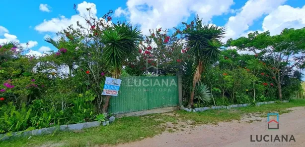 Fazenda / Sítio / Chácara com 3 Quartos à venda, 1200m² no Porta Florada, Gravatá