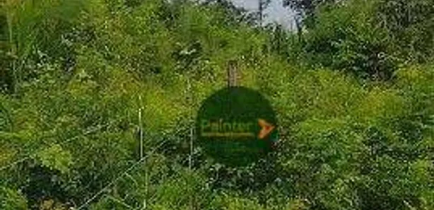 Fazenda / Sítio / Chácara à venda, 13176900m² no , Paranã