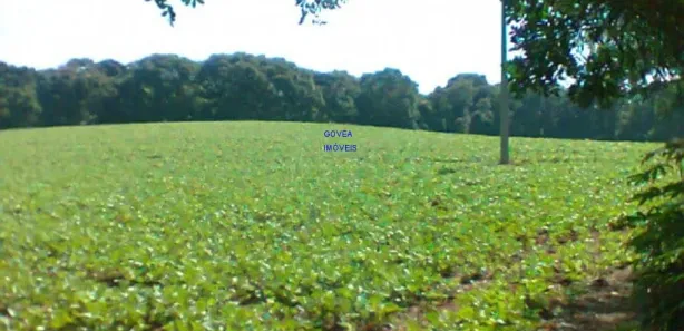 Fazenda / Sítio / Chácara com 1 Quarto à venda, 12000m² no , Contenda