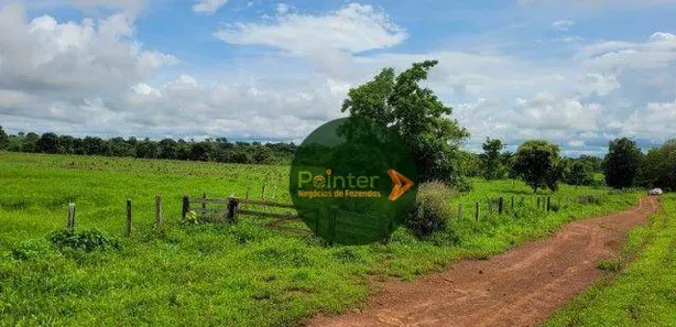 Fazenda / Sítio / Chácara à venda, 28396m² no Área Rural de Gurupi, Gurupi