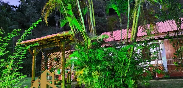 Fazenda / Sítio / Chácara com 4 Quartos à venda, 6500m² no Rosa Machado, Piraí