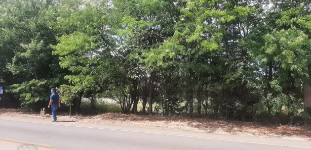 Fazenda / Sítio / Chácara à venda, 2500m² no Planaltina, Brasília