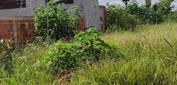 Terreno / Lote / Condomínio à venda, 400m² no Setor Habitacional Vicente Pires - Trecho 3, Brasília