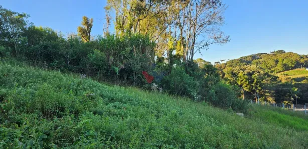 Fazenda / Sítio / Chácara com 1 Quarto à venda, 10975m² no Área Rural de Araucária, Araucária
