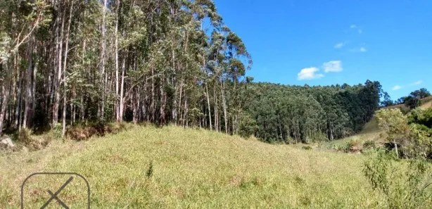 Fazenda / Sítio / Chácara à venda, 350900m² no Ponte Alta, Guararema
