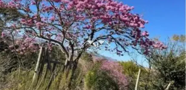 Fazenda / Sítio / Chácara com 2 Quartos à venda, 70m² no Santo Antônio, Paty do Alferes