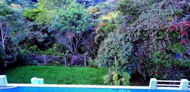 Fazenda / Sítio / Chácara com 3 Quartos à venda, 31000m² no São Vicente, Mairiporã