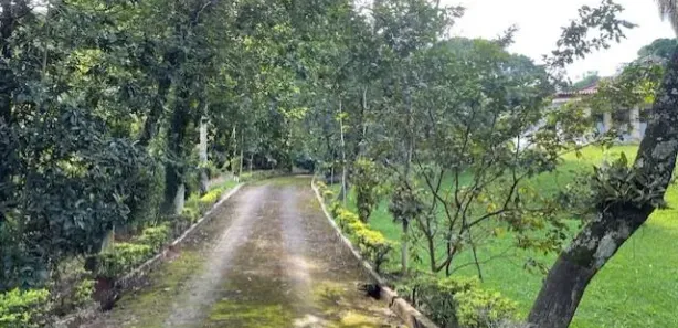 Fazenda / Sítio / Chácara com 4 Quartos à venda, 9923m² no São Judas Tadeu, Barra Mansa