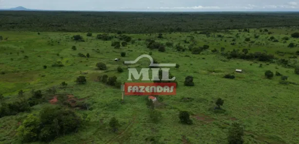 Fazenda / Sítio / Chácara à venda, 500m² no Centro, Formosa