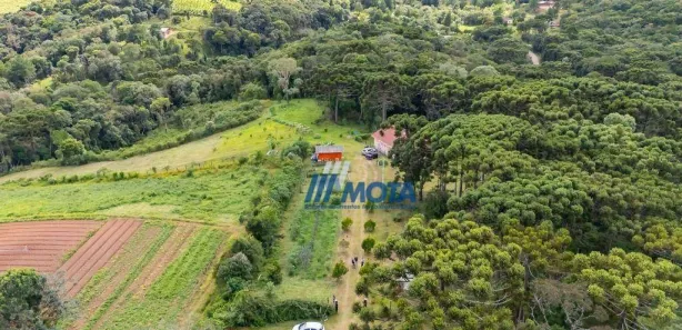 Fazenda / Sítio / Chácara com 3 Quartos à venda, 200m² no Serra do Araçatuba, Tijucas do Sul